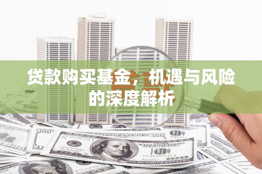 分宜贷款购买基金，机遇与风险的深度解析