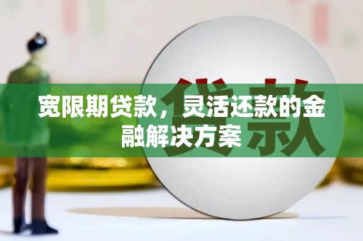 分宜宽限期贷款，灵活还款的金融解决方案