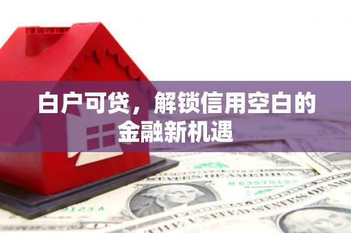 分宜白户可贷，解锁信用空白的金融新机遇