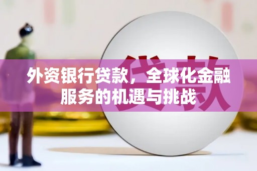 分宜外资银行贷款，全球化金融服务的机遇与挑战