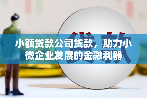 分宜小额贷款公司贷款，助力小微企业发展的金融利器