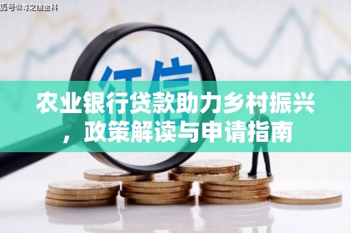 分宜农业银行贷款助力乡村振兴，政策解读与申请指南