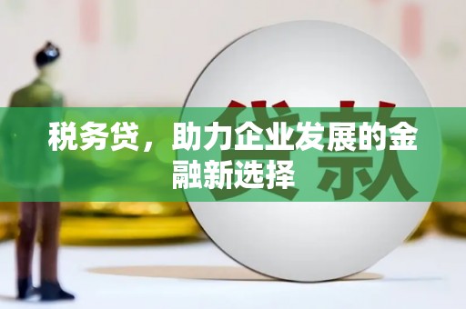 分宜税务贷，助力企业发展的金融新选择