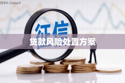 分宜贷款风险处置方案