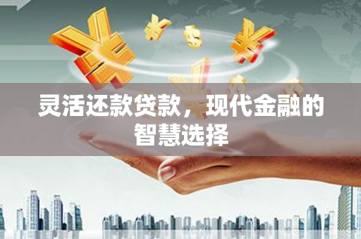 分宜灵活还款贷款，现代金融的智慧选择