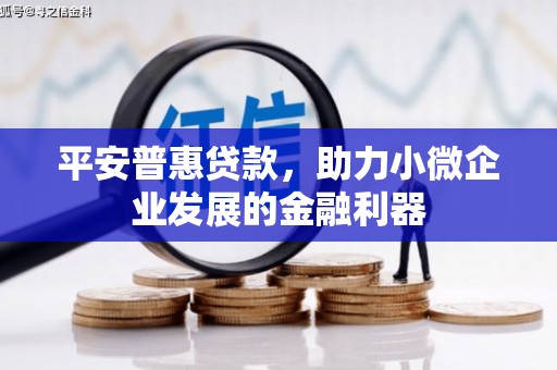 分宜平安普惠贷款，助力小微企业发展的金融利器