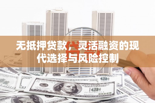 分宜无抵押贷款，灵活融资的现代选择与风险控制