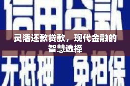 分宜灵活还款贷款，现代金融的智慧选择