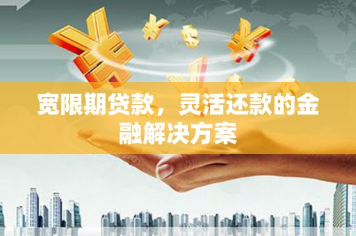 分宜宽限期贷款，灵活还款的金融解决方案