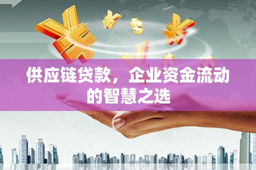 分宜供应链贷款，企业资金流动的智慧之选