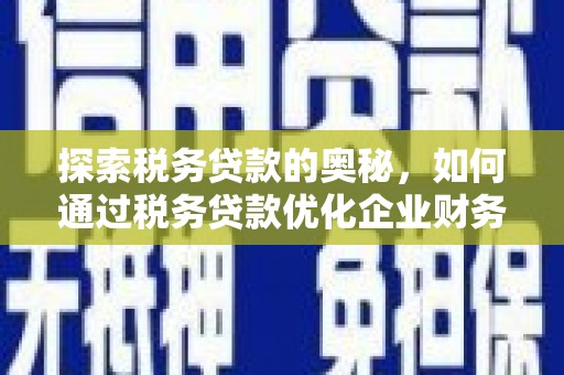 分宜探索税务贷款的奥秘，如何通过税务贷款优化企业财务