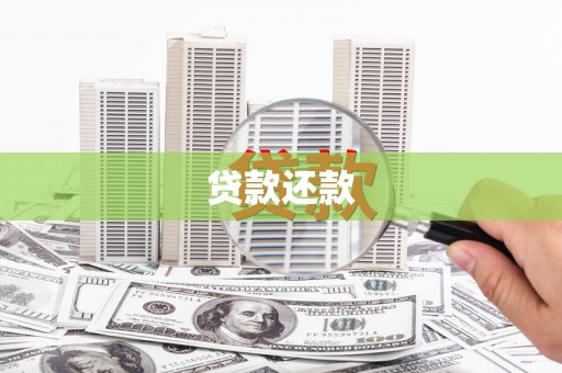 分宜贷款还款