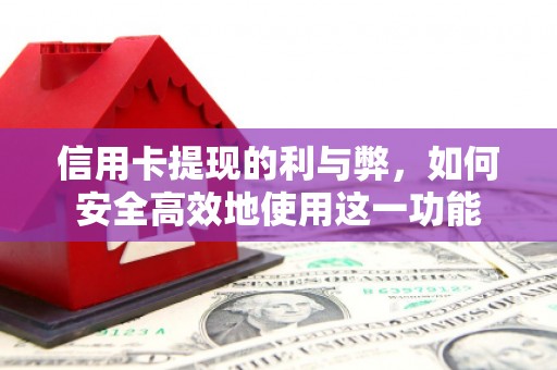 分宜信用卡提现的利与弊，如何安全高效地使用这一功能