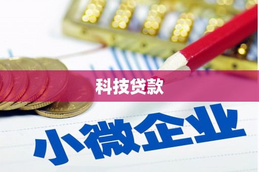 分宜科技贷款