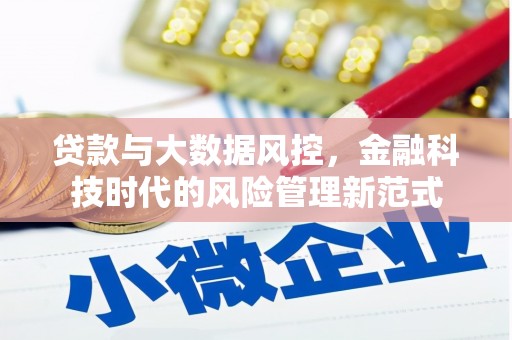 分宜贷款与大数据风控，金融科技时代的风险管理新范式