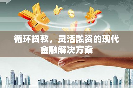 分宜循环贷款，灵活融资的现代金融解决方案