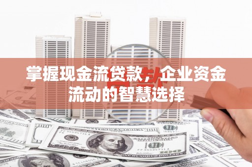 分宜掌握现金流贷款，企业资金流动的智慧选择