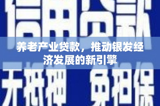 分宜养老产业贷款，推动银发经济发展的新引擎