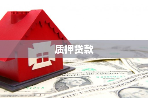 分宜质押贷款