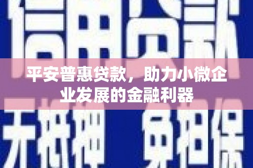 分宜平安普惠贷款，助力小微企业发展的金融利器