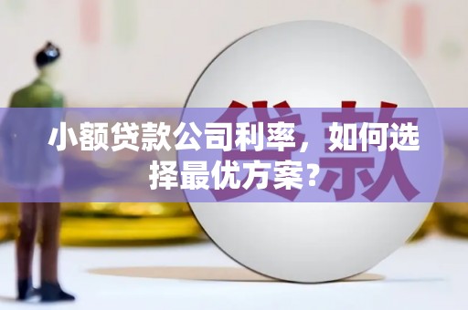 分宜小额贷款公司利率，如何选择最优方案？