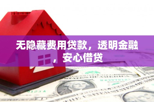 分宜无隐藏费用贷款，透明金融，安心借贷