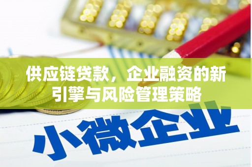 分宜供应链贷款，企业融资的新引擎与风险管理策略