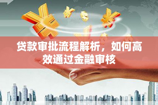 分宜贷款审批流程解析，如何高效通过金融审核