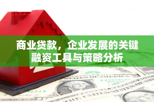 分宜商业贷款，企业发展的关键融资工具与策略分析
