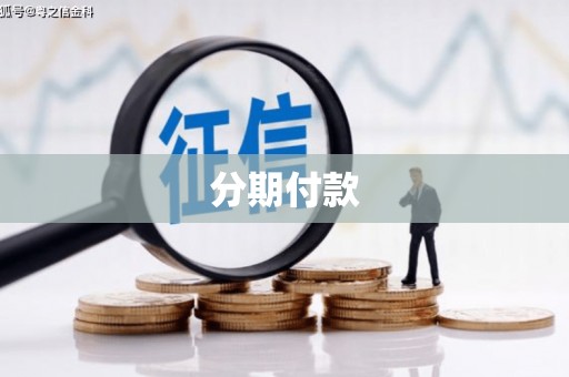 分宜分期付款