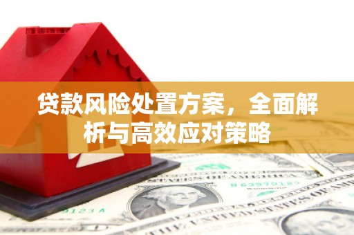 分宜贷款风险处置方案，全面解析与高效应对策略