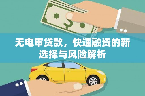 分宜无电审贷款，快速融资的新选择与风险解析