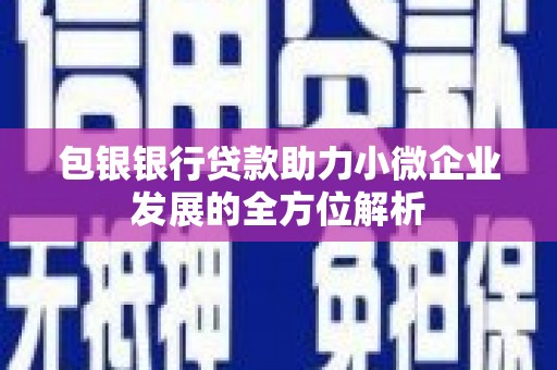 分宜包银银行贷款助力小微企业发展的全方位解析