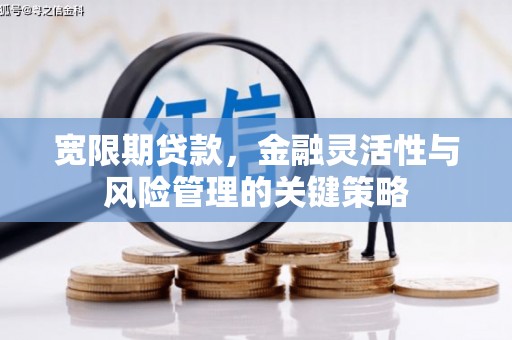 分宜宽限期贷款，金融灵活性与风险管理的关键策略
