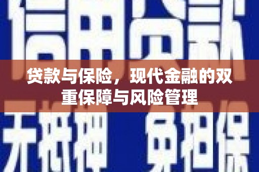 分宜贷款与保险，现代金融的双重保障与风险管理