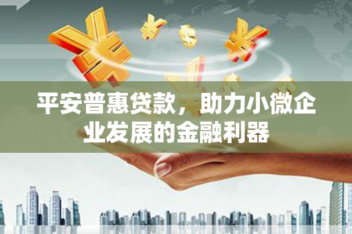 分宜平安普惠贷款，助力小微企业发展的金融利器
