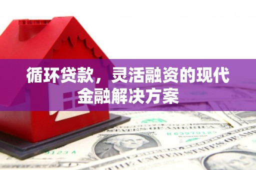 分宜循环贷款，灵活融资的现代金融解决方案