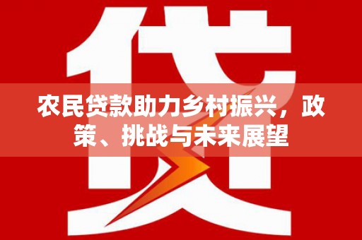 分宜农民贷款助力乡村振兴，政策、挑战与未来展望
