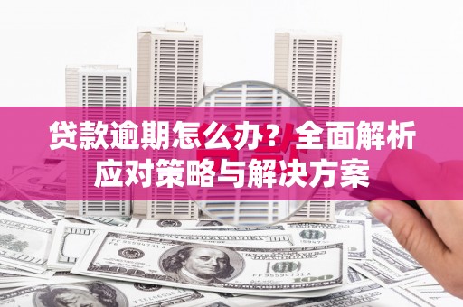 分宜贷款逾期怎么办？全面解析应对策略与解决方案