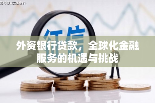 分宜外资银行贷款，全球化金融服务的机遇与挑战