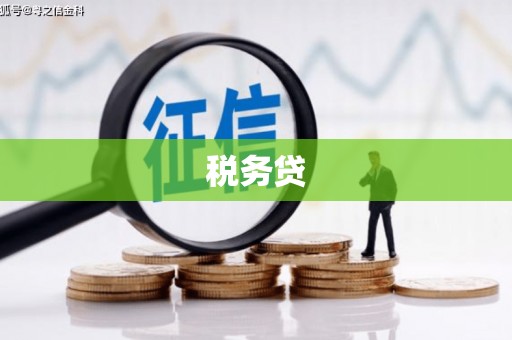 分宜税务贷