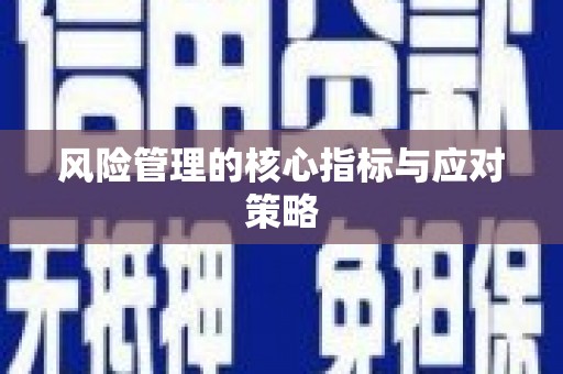 分宜风险管理的核心指标与应对策略