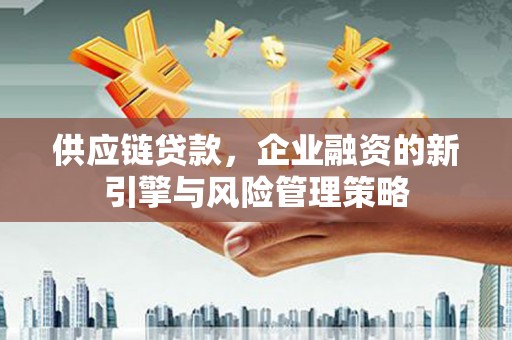 分宜供应链贷款，企业融资的新引擎与风险管理策略
