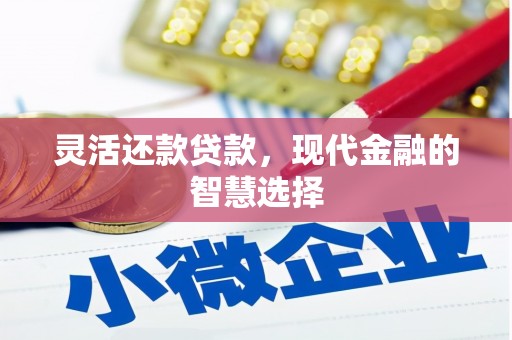 分宜灵活还款贷款，现代金融的智慧选择
