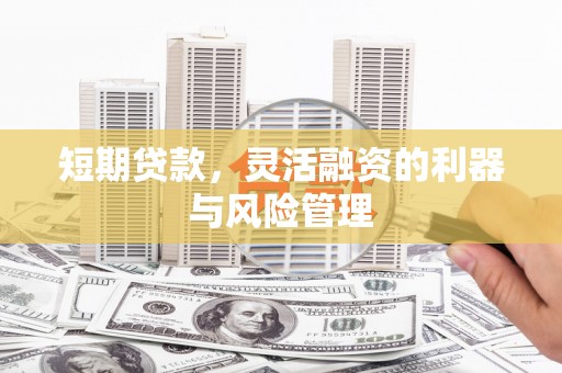 分宜短期贷款，灵活融资的利器与风险管理