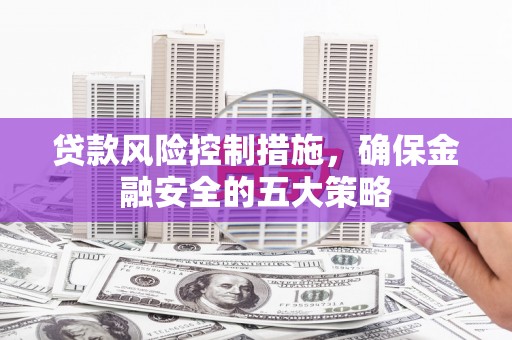 分宜贷款风险控制措施，确保金融安全的五大策略