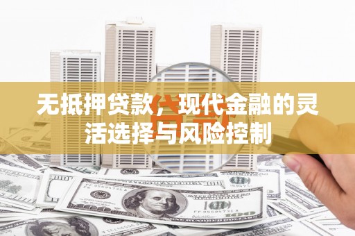 分宜无抵押贷款，现代金融的灵活选择与风险控制