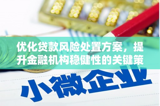 分宜优化贷款风险处置方案，提升金融机构稳健性的关键策略