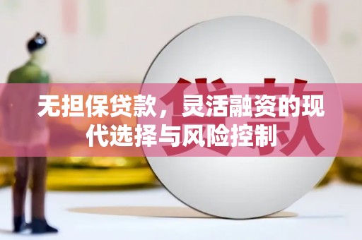分宜无担保贷款，灵活融资的现代选择与风险控制
