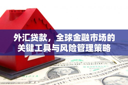 分宜外汇贷款，全球金融市场的关键工具与风险管理策略